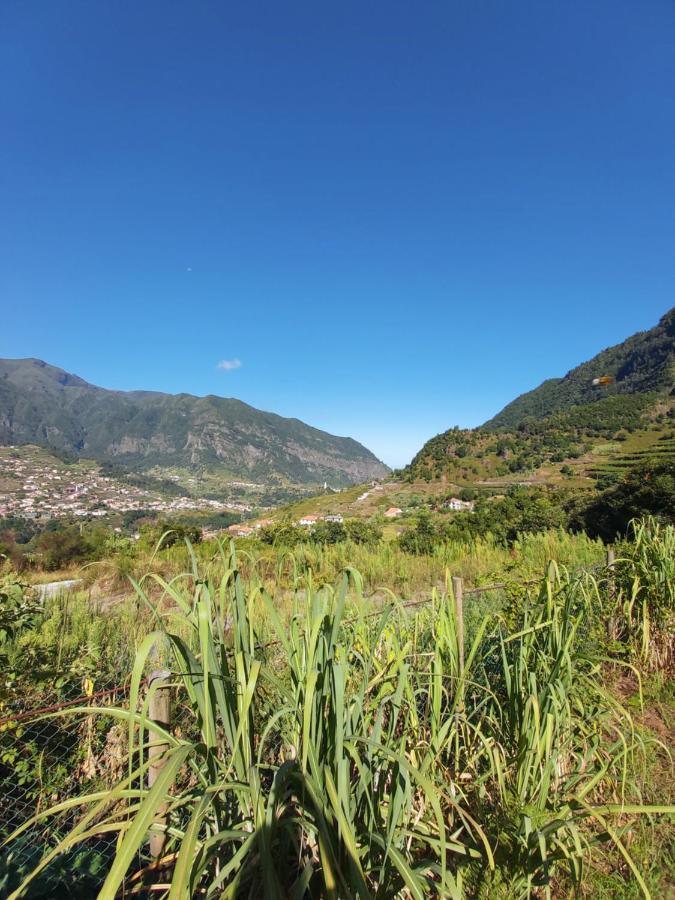 Lameiros Cottage São Vicente Eksteriør bilde
